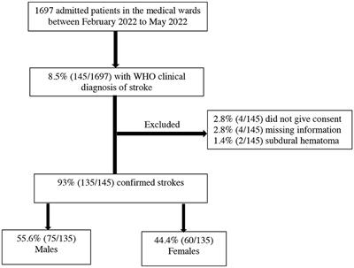 Predictors of 30-day mortality among patients with stroke admitted at a tertiary teaching hospital in Northwestern Tanzania: A prospective cohort study